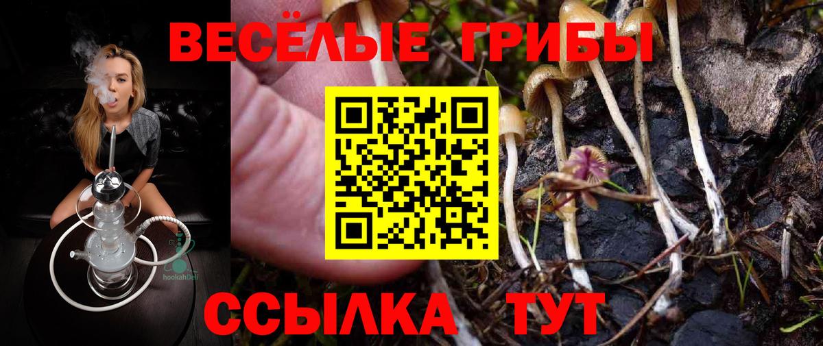 Ревда  Псилоцибиновые грибы Cubensis  Вход с VPN  Галлюциногенные грибы GOLDEN TEACHER 