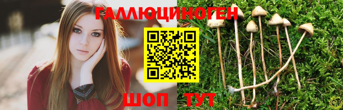 Галлюциногенные грибы MAGIC MUSHROOMS Ревда